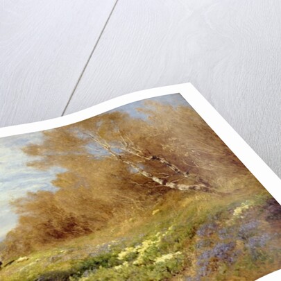 The Primrose Gatherers, 1903 by John Clayton Adams