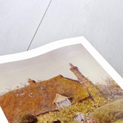 Sunflower Cottage by Helen Allingham