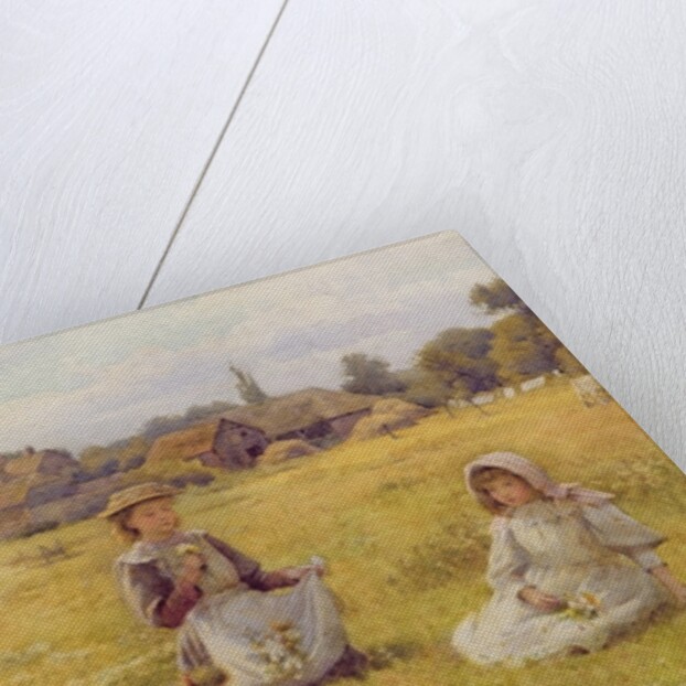 Picking Wild Flowers by William Affleck