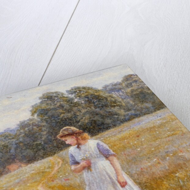 Daydreamer, 1878 by Helen Allingham