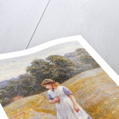 Daydreamer, 1878 by Helen Allingham