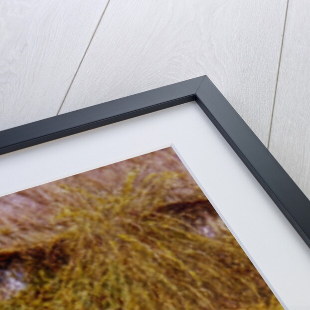 A cottage at Redlynch by Helen Allingham
