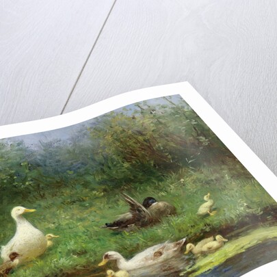 Ducks on a riverbank by David Adolph Constant Artz