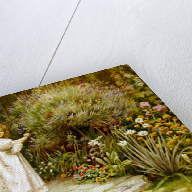 My Garden by William Ashburner