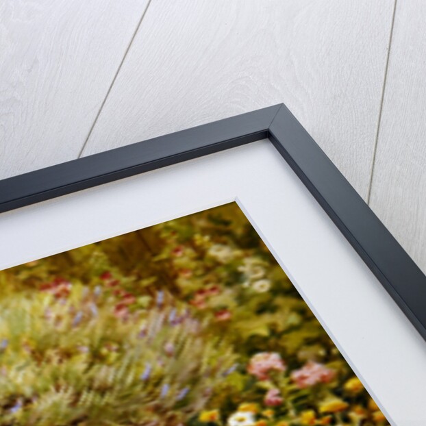 My Garden by William Ashburner