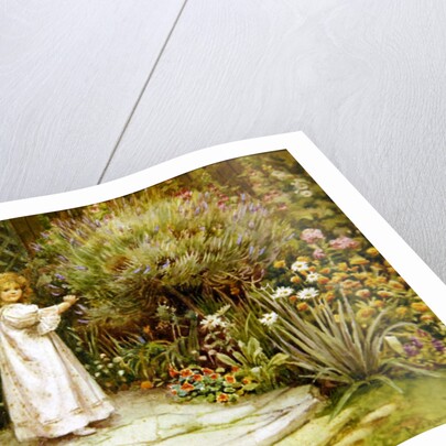 My Garden by William Ashburner