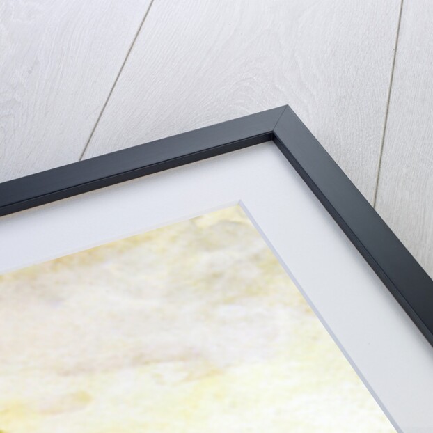 Picking Flowers by Thomas Frederick Mason Sheard