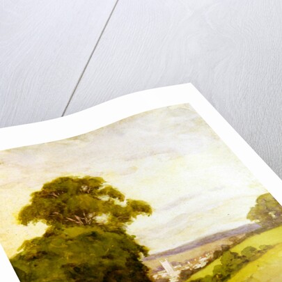 Picking Flowers by Thomas Frederick Mason Sheard