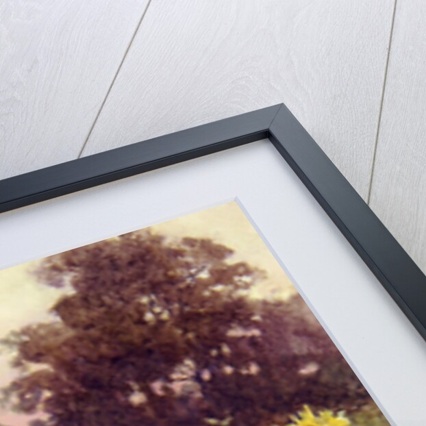 Grandad's Garden by Rose Maynard Barton