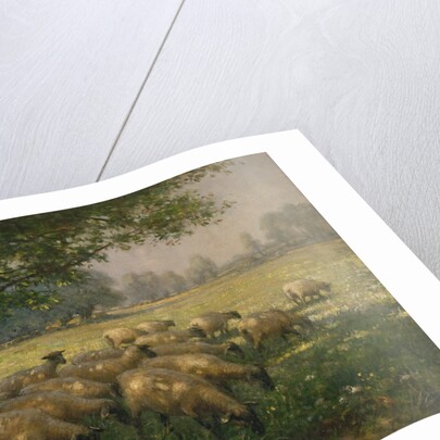 The Shepherdess by William Kay Blacklock