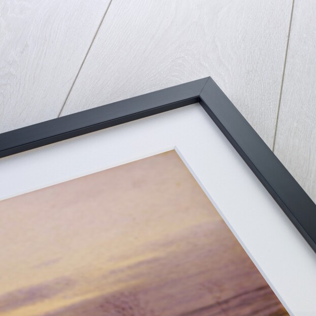 The House by the Canal by Charles Brooke Branwhite