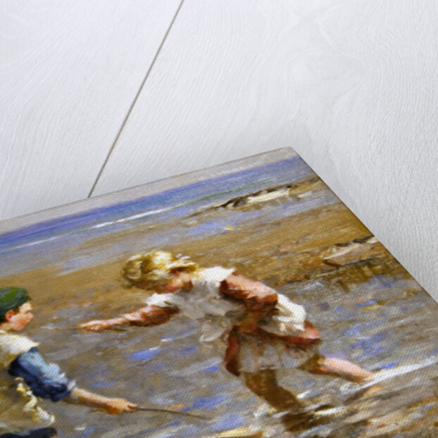 Playing in the Shallows by William Marshall Brown