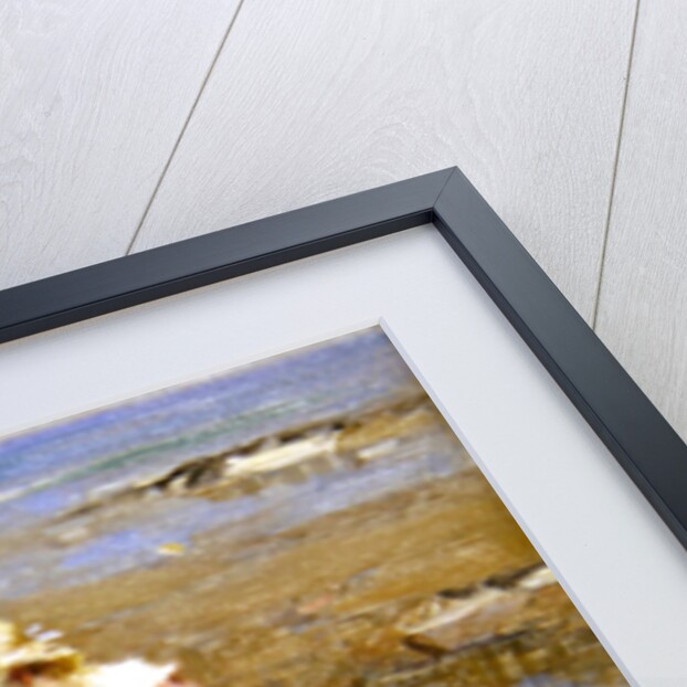 Playing in the Shallows by William Marshall Brown