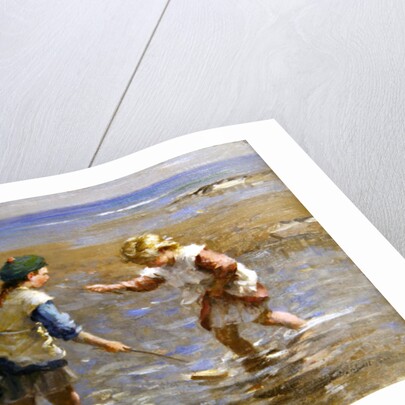 Playing in the Shallows by William Marshall Brown