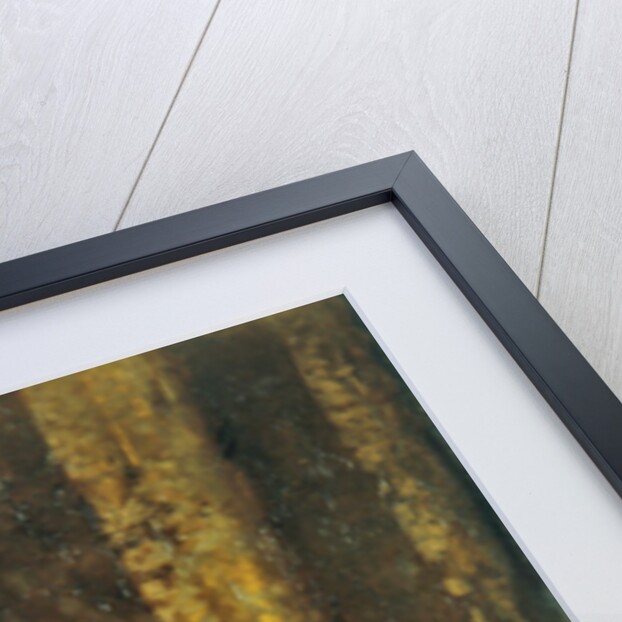 A Present of Roses by Hariette Sutcliffe