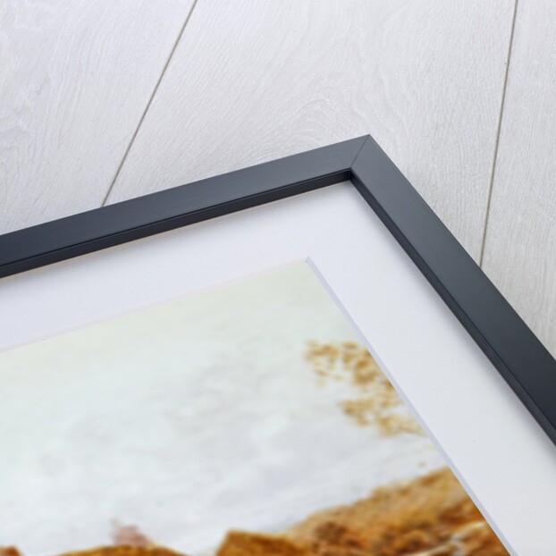 Lilacs, 1899 by Thomas James Lloyd