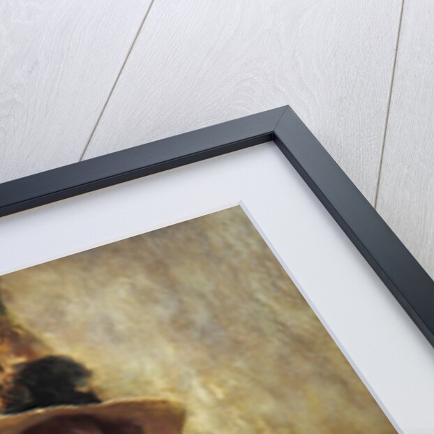 Reflections by Samuel Melton Fisher