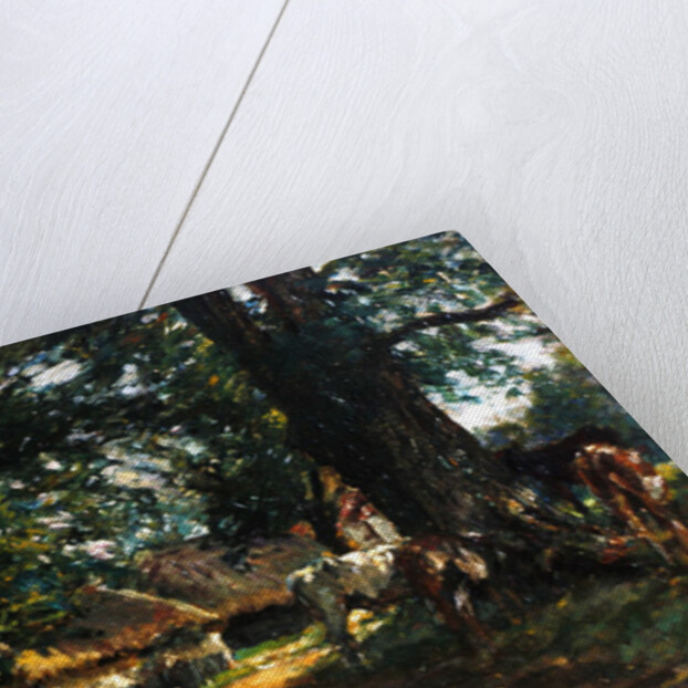 In the Shade by Mark Fisher