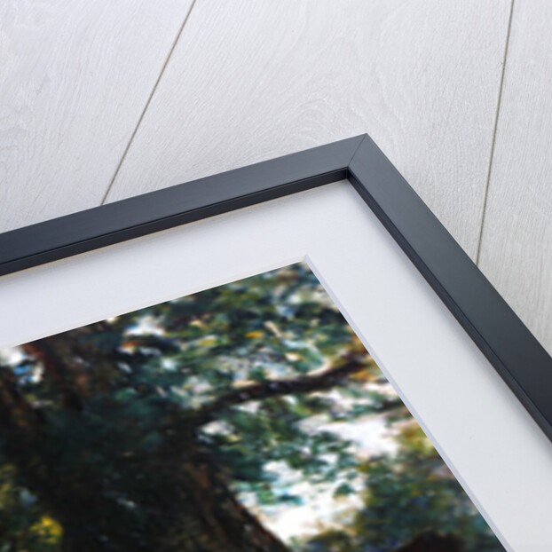 In the Shade by Mark Fisher