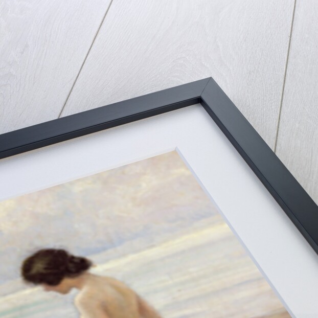 Summer on the Beach, early 20th century by Paul Fischer