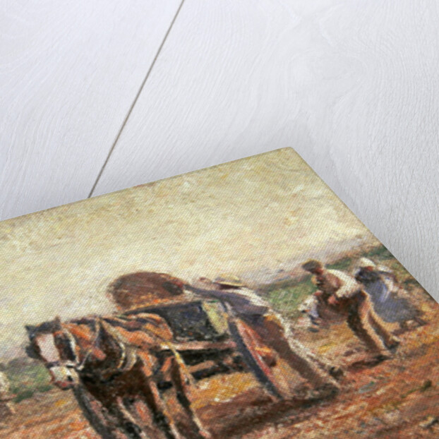 The Potato Pickers by Harry Fidler