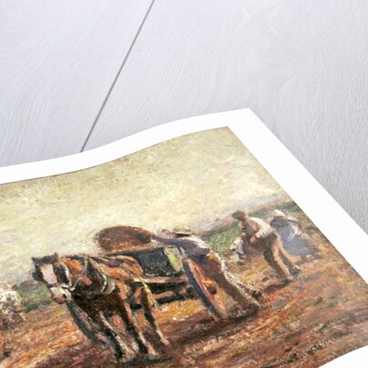 The Potato Pickers by Harry Fidler