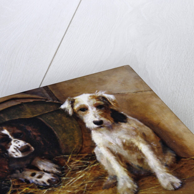 In the Dog House by Samuel Fulton