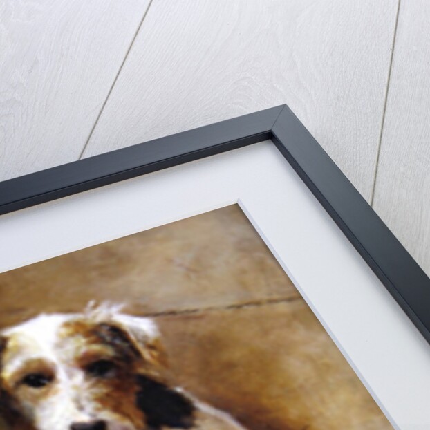 In the Dog House by Samuel Fulton