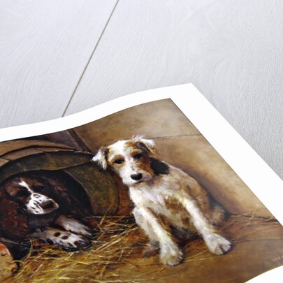 In the Dog House by Samuel Fulton