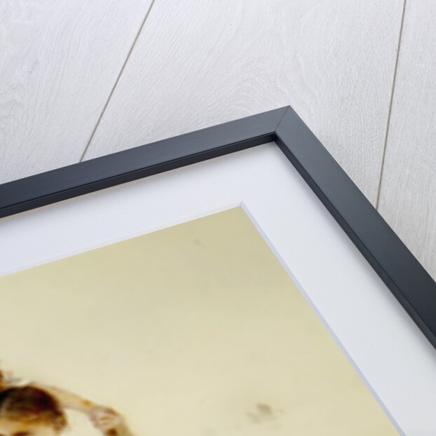 Happy Days by Hector Caffieri