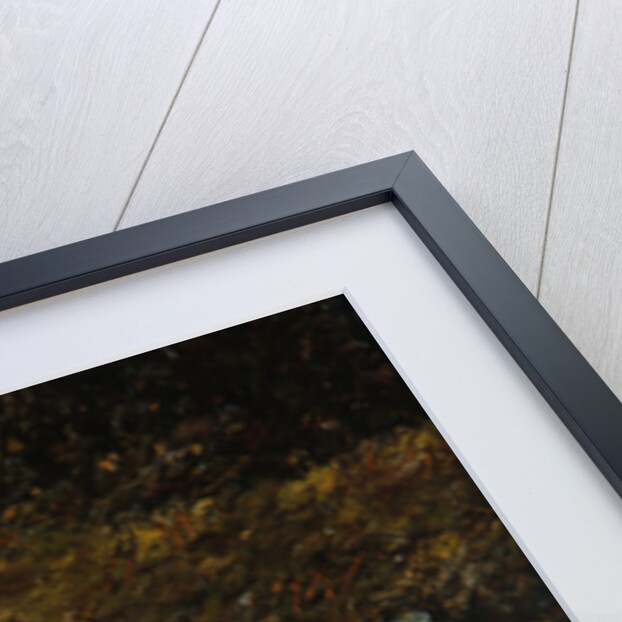 The Young Anglers by James Charles