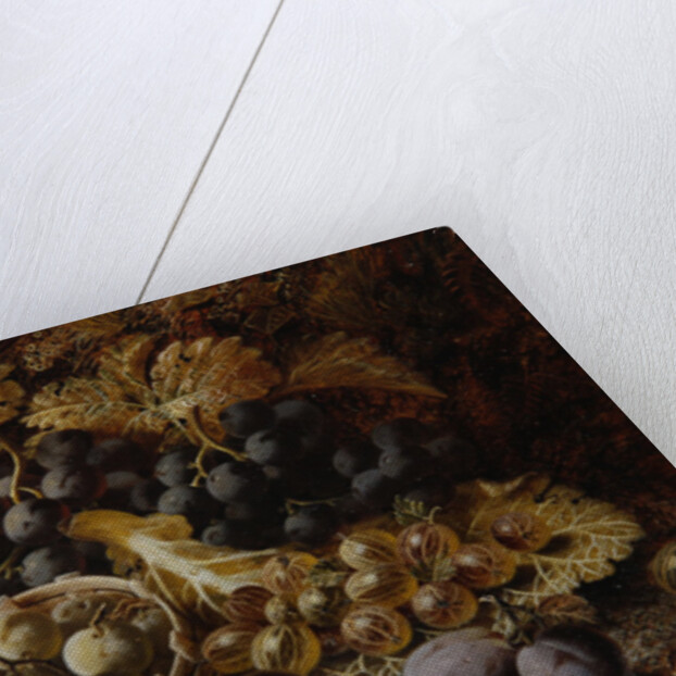 Still Life of Fruit by Oliver Clare