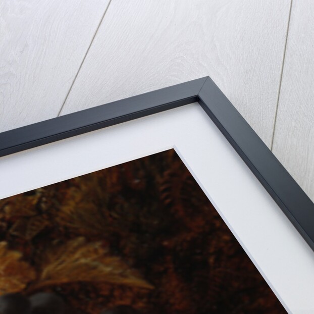 Still Life of Fruit by Oliver Clare