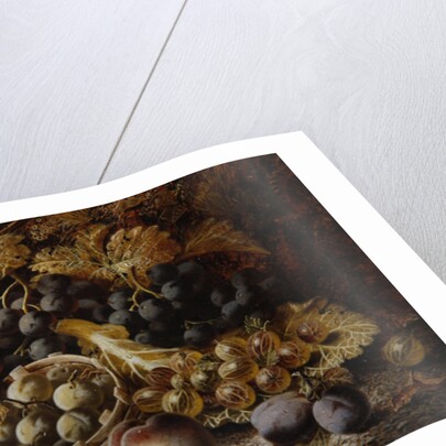 Still Life of Fruit by Oliver Clare