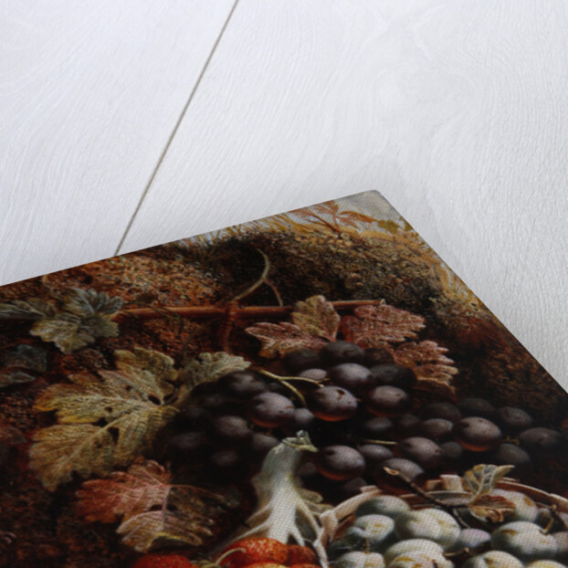 Still Life of Fruit II by Oliver Clare