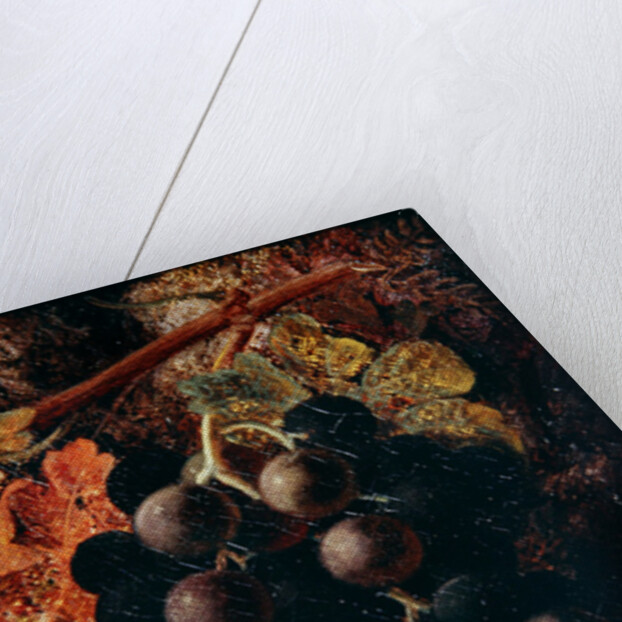 Grapes, Apples and Gooseberries by Vincent Clare