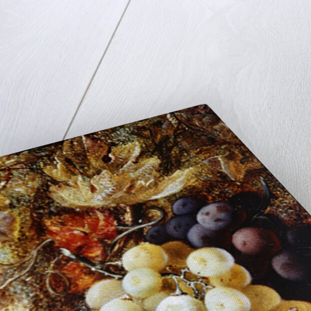 Grapes and Plums by Vincent Clare