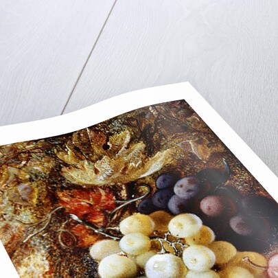 Grapes and Plums by Vincent Clare