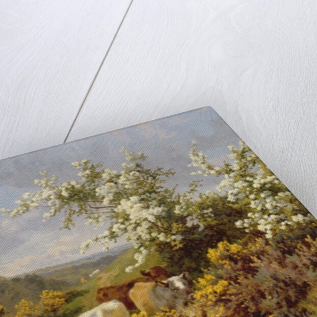 May Blossom by Charles Collins