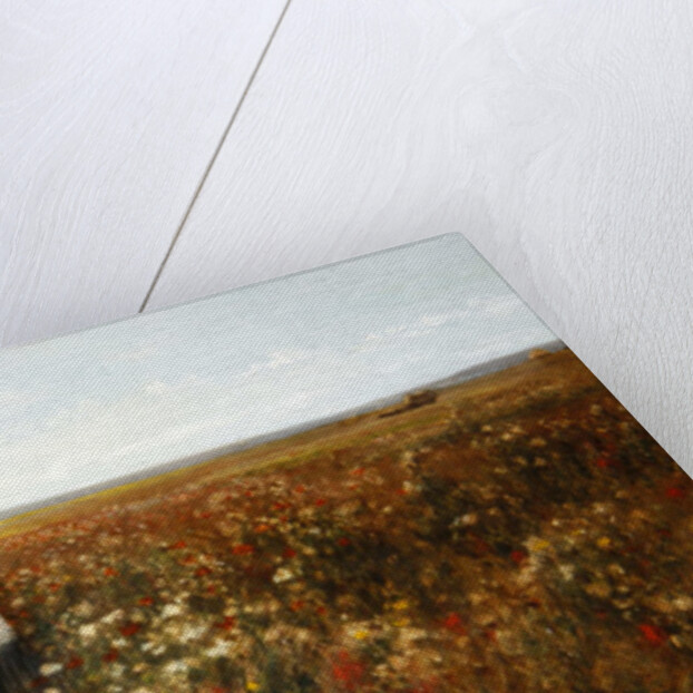 The Poppyfield, 1897 by Kate Colls