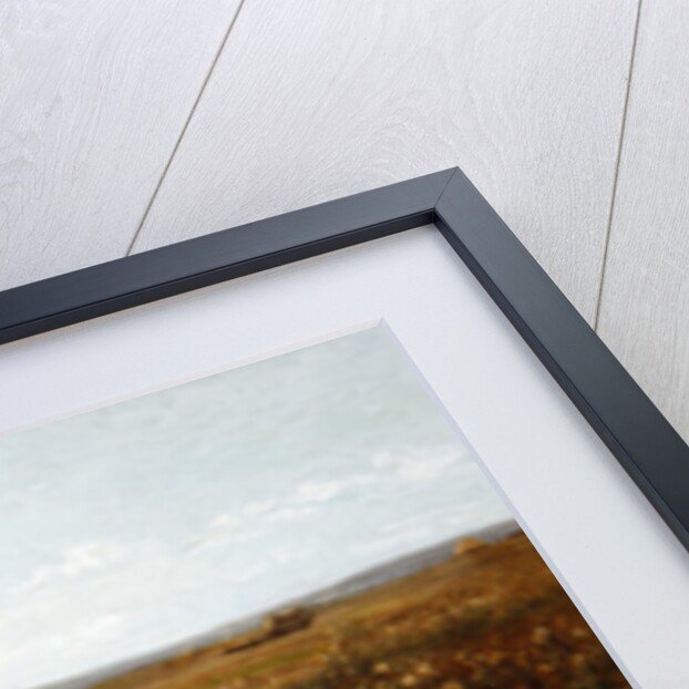 The Poppyfield, 1897 by Kate Colls