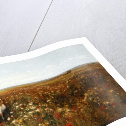 The Poppyfield, 1897 by Kate Colls