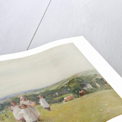 The Picnic by Henry Crockett