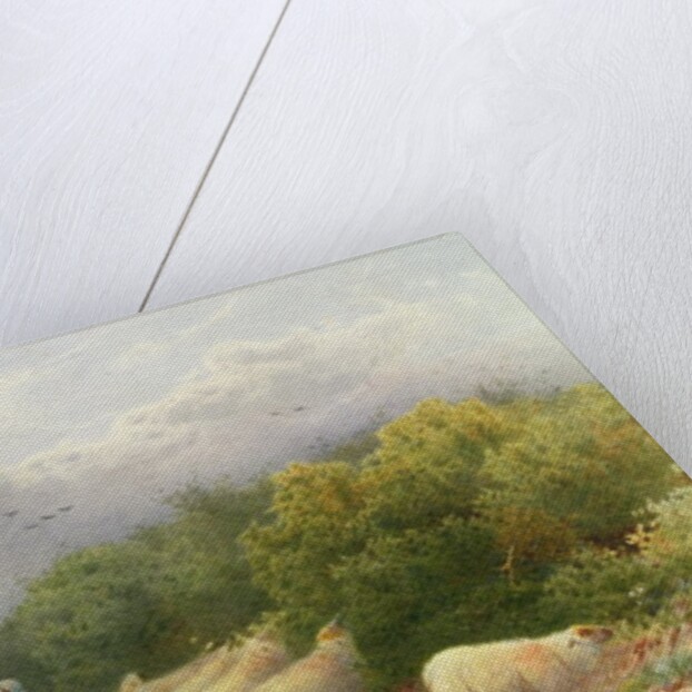 Sheep on the Downs by William W. Gosling