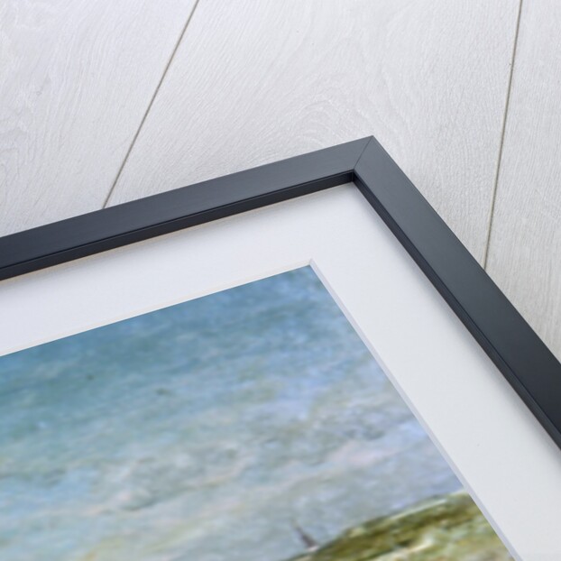 Donkeys on the Beach by Johannes Hubertus Leonardus de Haas