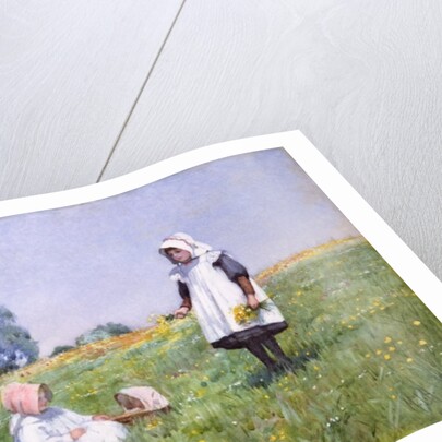 Buttercups and Daisies by Minnie Jane Hardman