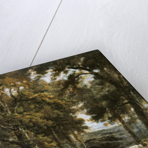 The Timber Wagon by Henry Earp