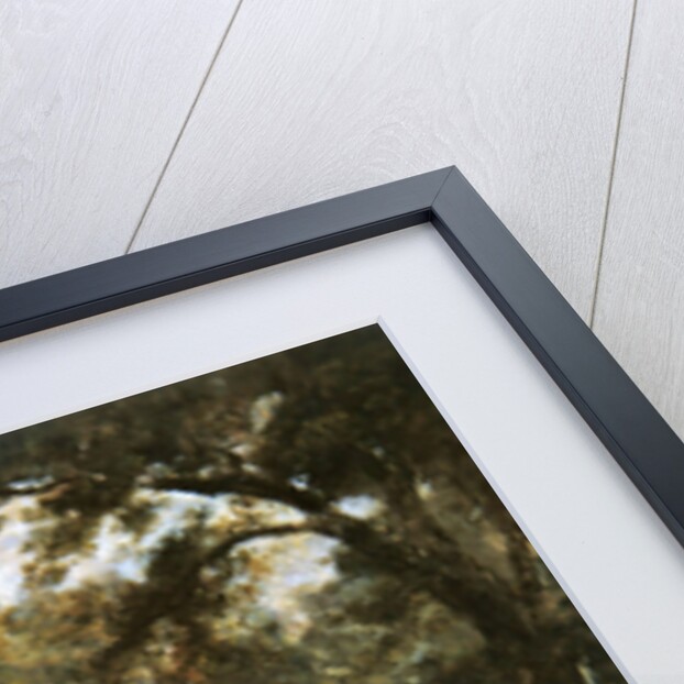 The Timber Wagon by Henry Earp