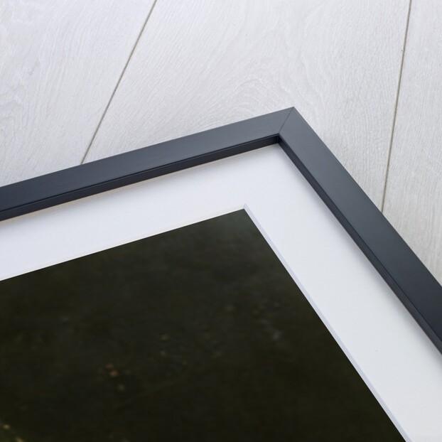 The Picture Book by Knut Ekvall