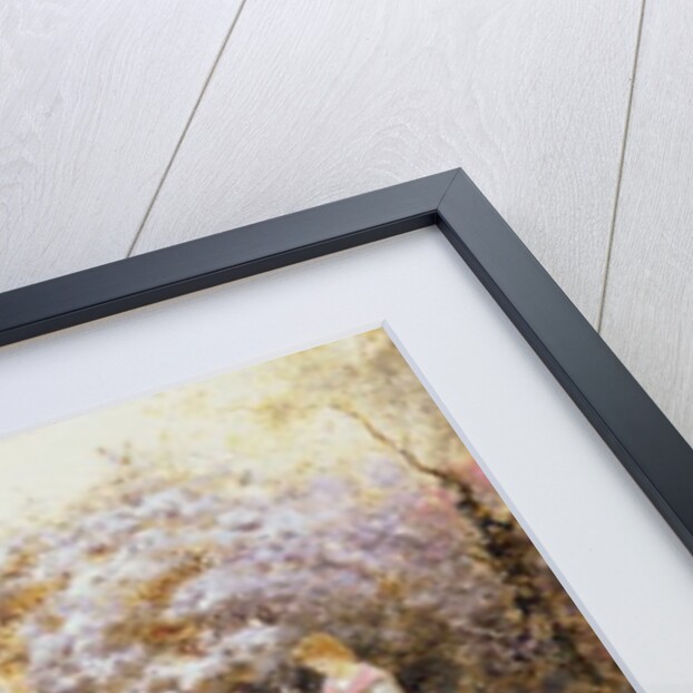 Picking Blossoms. 1895 by Thomas James Lloyd